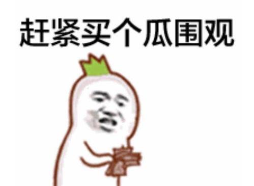 训斥吃瓜群众视频完整版,一场网络舆论的风暴与反思