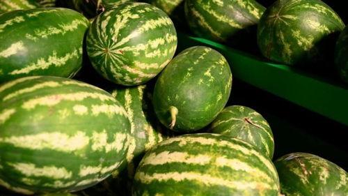 遵义网红吃瓜事件视频,一场网络狂欢背后的真相揭秘