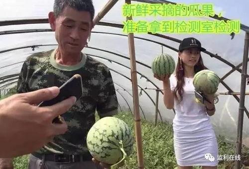 鲁山吃瓜现场直播视频大全,全民围观的热闹盛宴