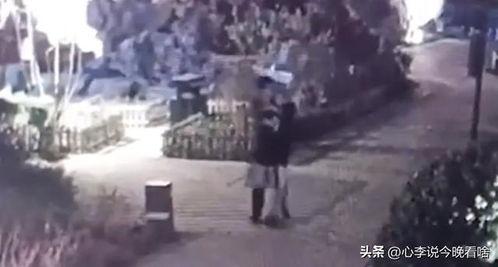 福州轨迹吃瓜事件视频,揭秘背后真相与网络舆论风暴