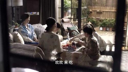 吃瓜教育视频免费观看,开启知识盛宴之旅