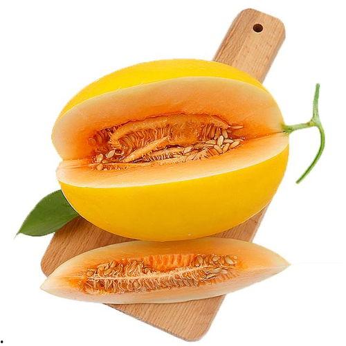 三亚吃蜜瓜视频,甜蜜之旅，尽享夏日鲜甜