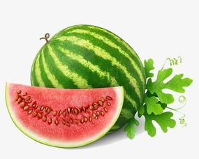 买花吃瓜视频素材下载网站,轻松下载海量资源