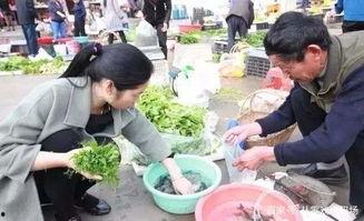 南京学生家长吃瓜视频大全,揭秘校园生活幕后趣闻
